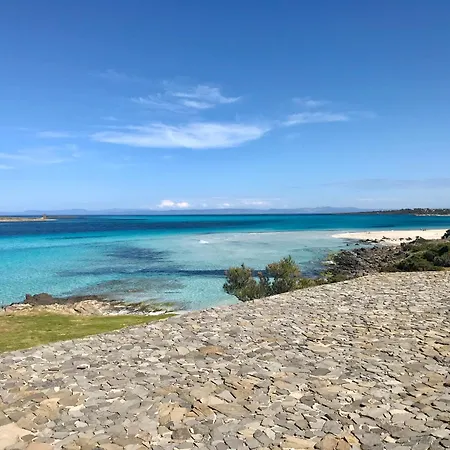 In Just 50 Mt From The Sea